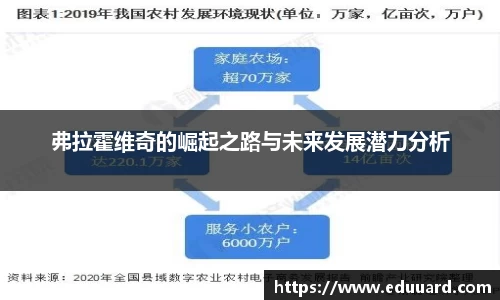 弗拉霍维奇的崛起之路与未来发展潜力分析