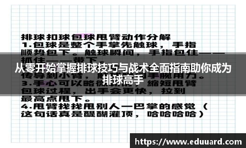 从零开始掌握排球技巧与战术全面指南助你成为排球高手